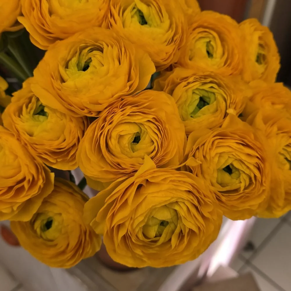 Bouquet de Renoncules, par Perles De Rosée, fleuriste à Champigny-sur-Marne