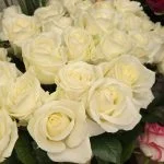 Roses blanches à la tige, par Perles De Rosée, fleuriste à Champigny-sur-Marne