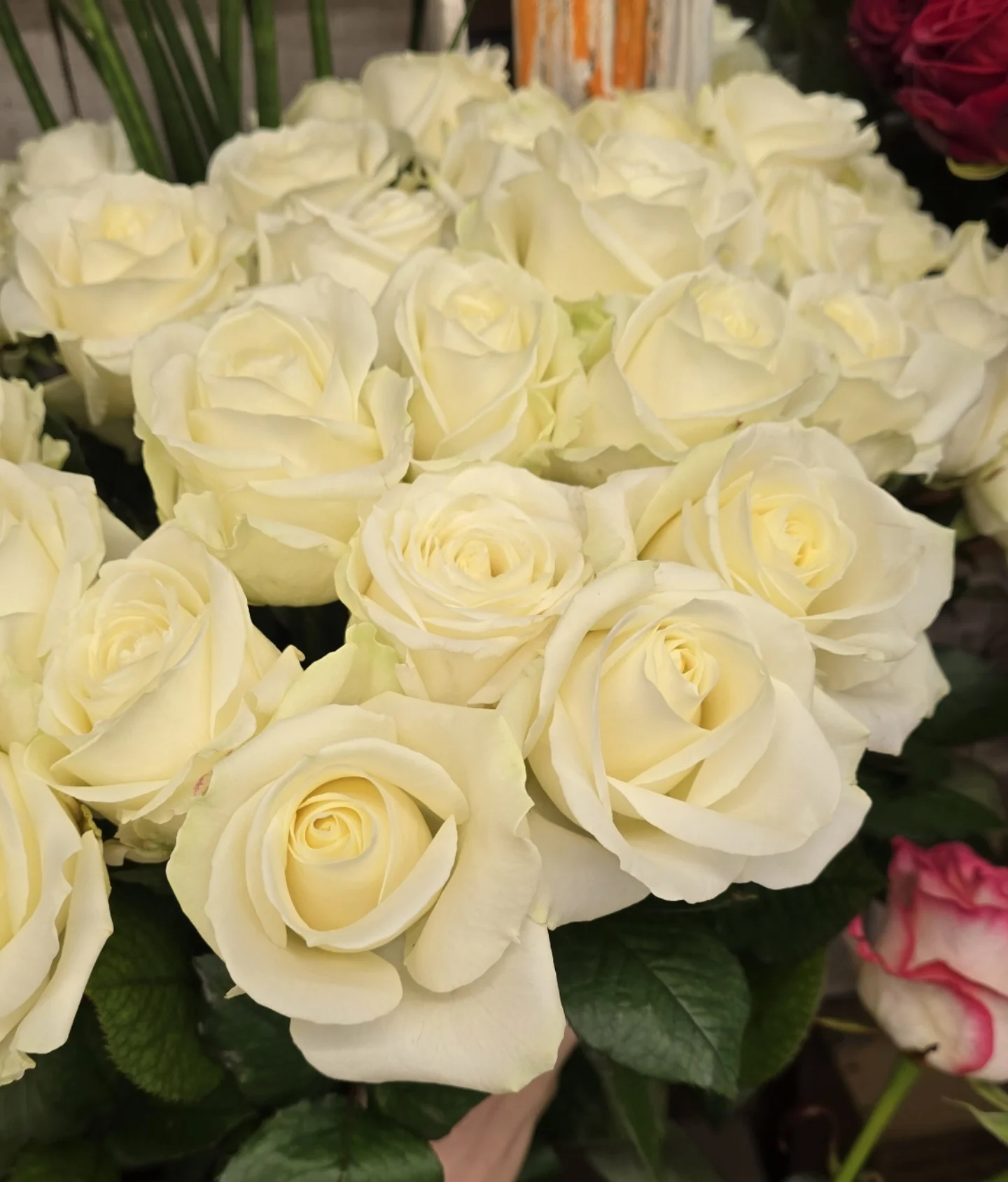 Roses blanches à la tige, par Perles De Rosée, fleuriste à Champigny-sur-Marne