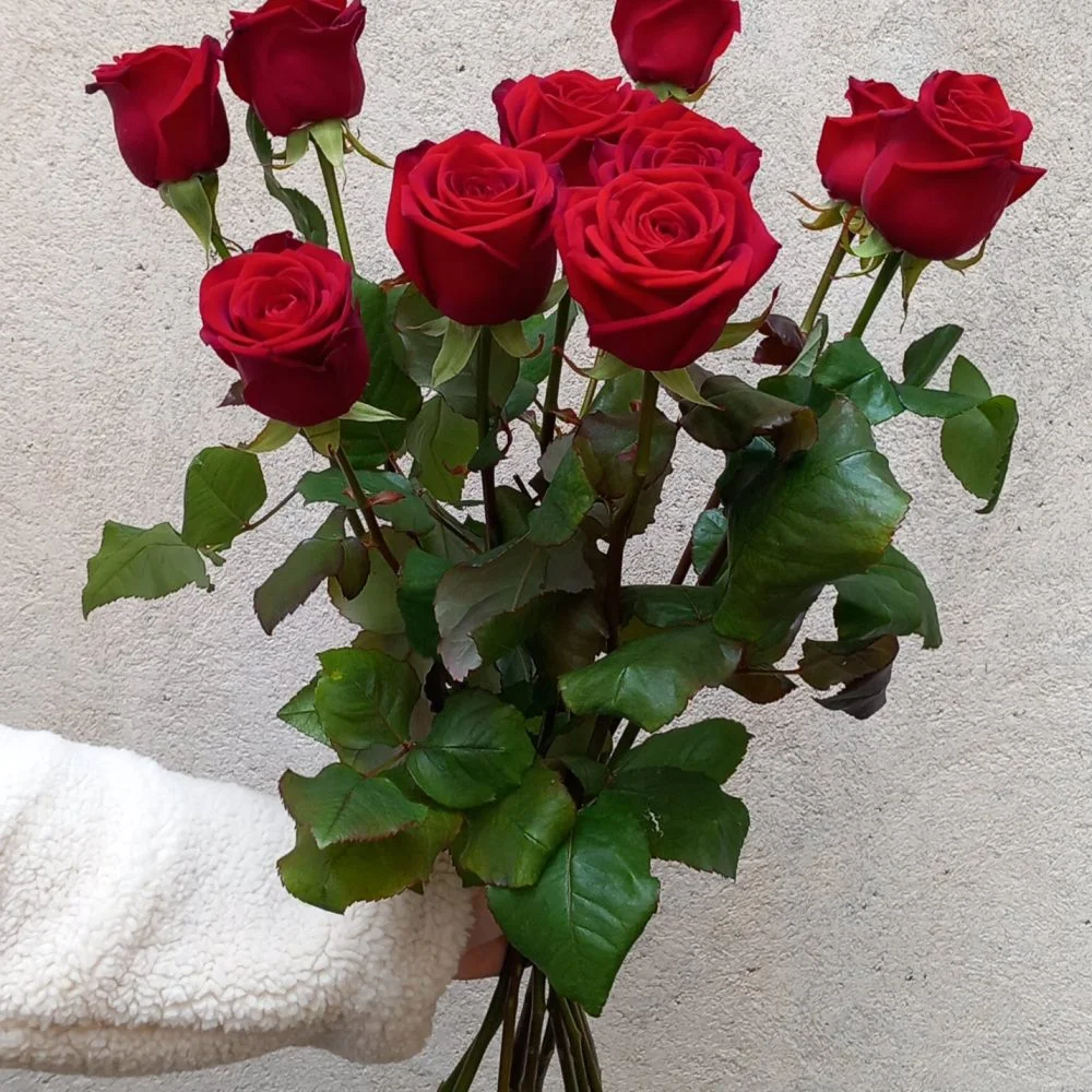 ROSE ROUGE A LA TIGE, par Apothéose, fleuriste à Caen