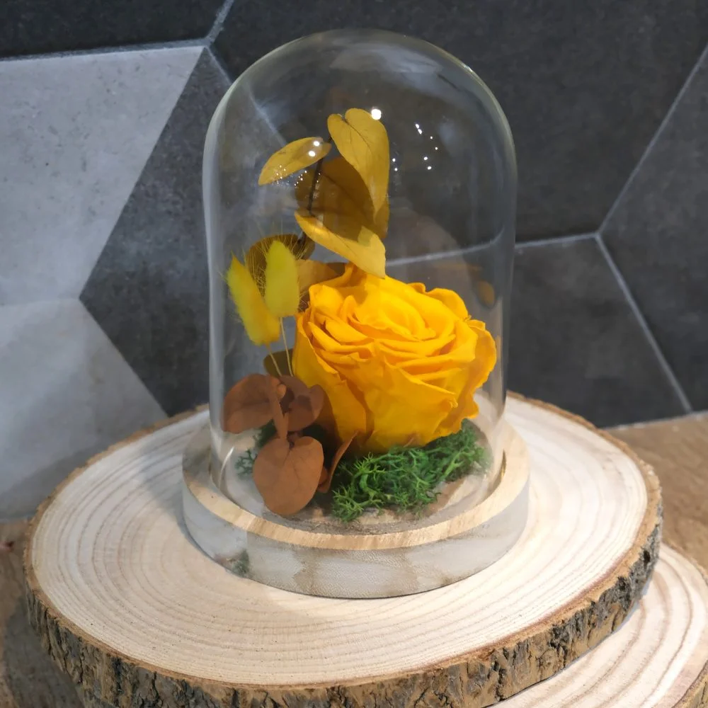 Rose éternelle Lara, par Art Végétal, fleuriste à Corbas