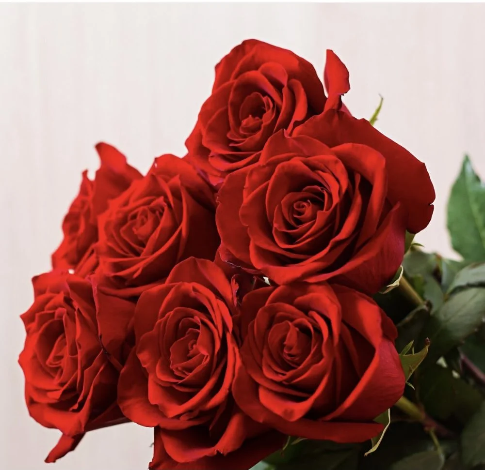 Bouquet roses rouges 70cm, par Maison Stéphane Bellot, fleuriste à Paris