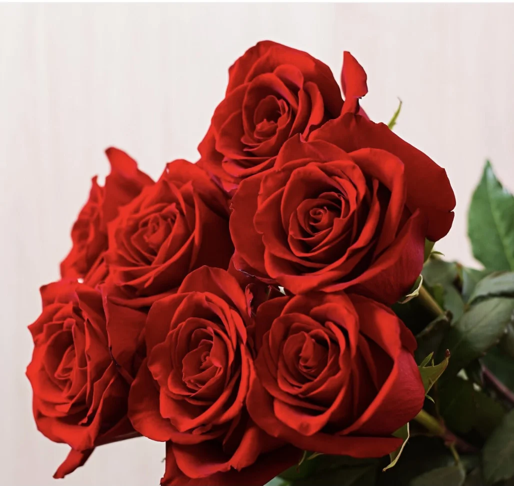 Bouquet roses rouges 70cm, par Maison Stéphane Bellot, fleuriste à Paris