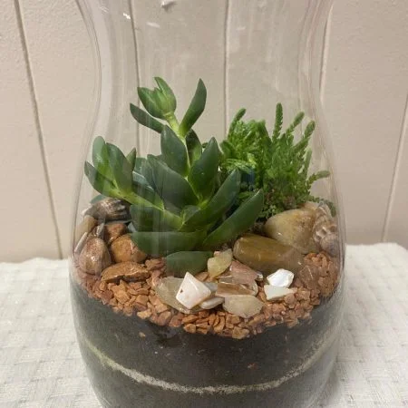 Terrarium, par Gaïa, fleuriste à Ondres