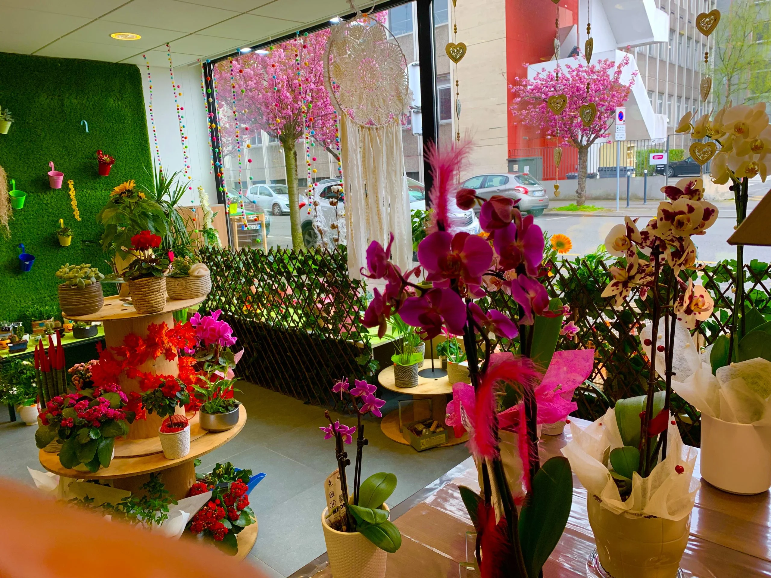 Livraison de fleurs Roubaix et proximité, par MISS JANY FLEURS, artisan fleuriste