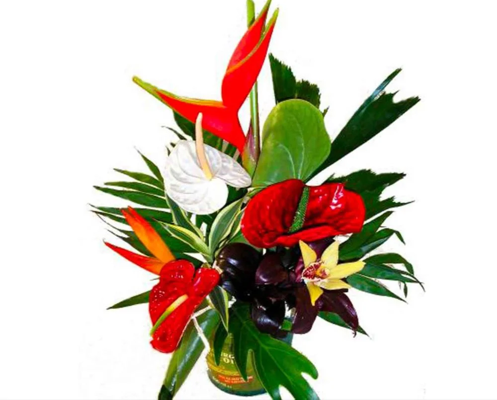 L'apres st valentin, par Tropical, fleuriste à Châtenay-Malabry
