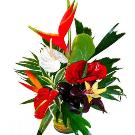 L'apres st valentin, par Tropical, fleuriste à Châtenay-Malabry