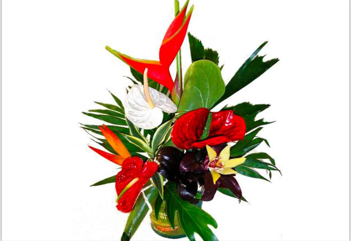 L’apres st valentin, par Tropical, fleuriste à Châtenay-Malabry