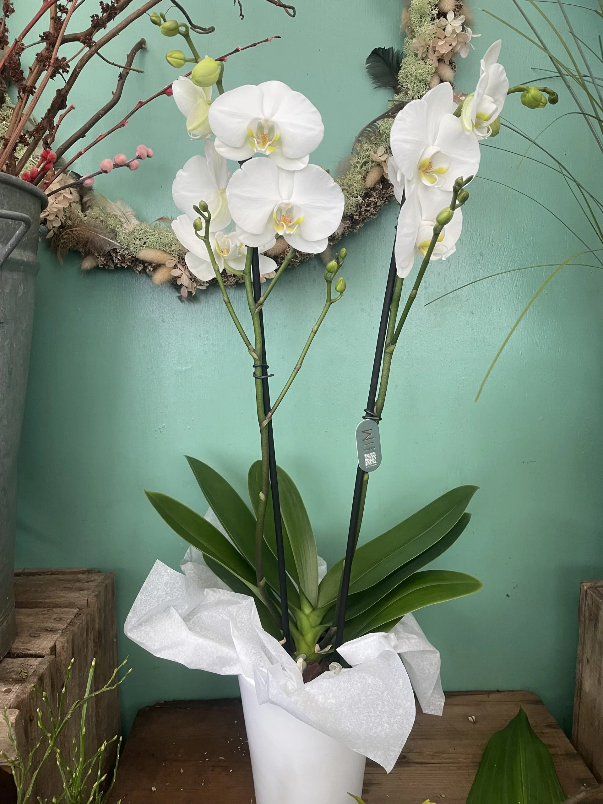 belle orchidee blanche, par A fleurs de peau, fleuriste à Les Mureaux