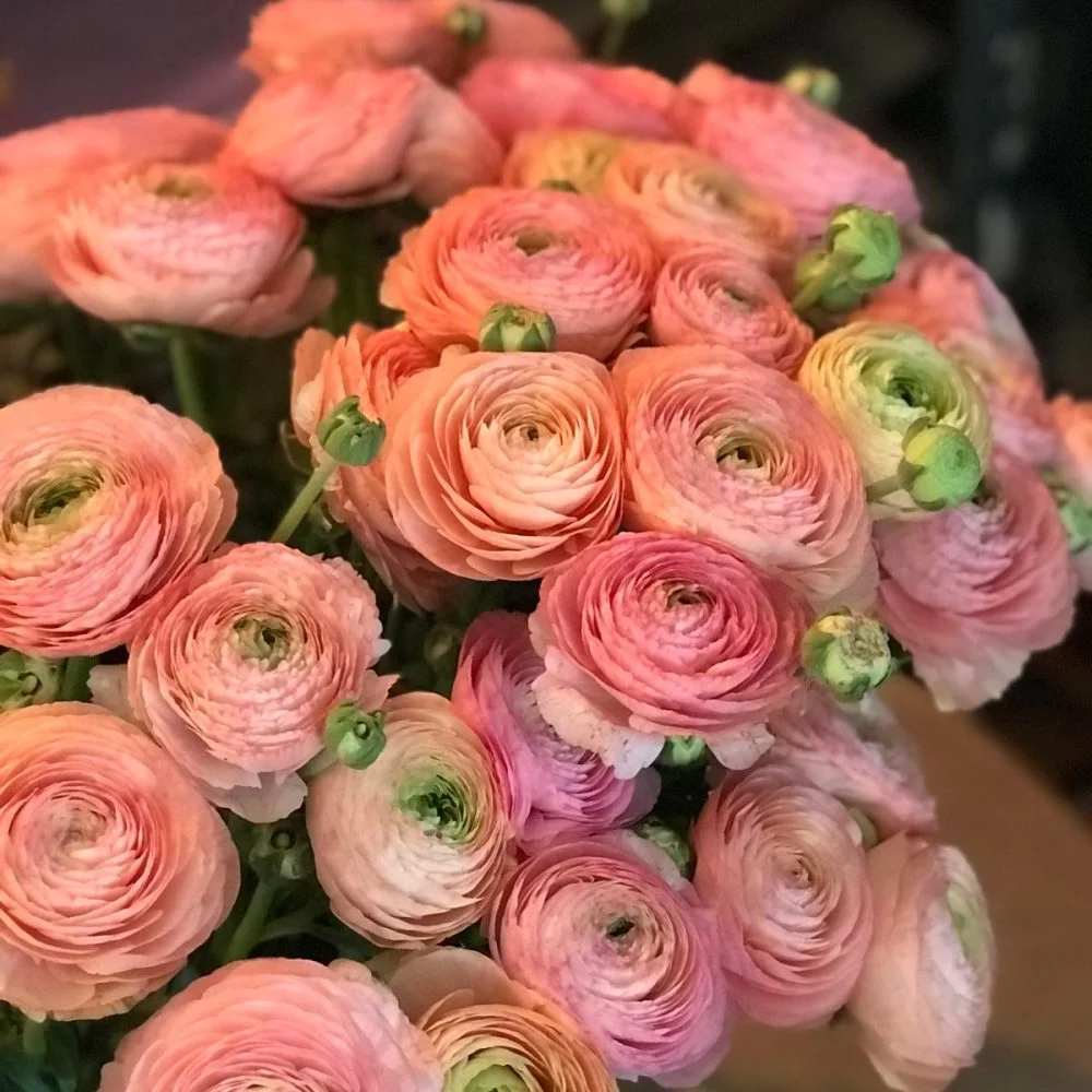 Bouquet de Renoncules, par 15 Au Jardin, fleuriste à Bièvres