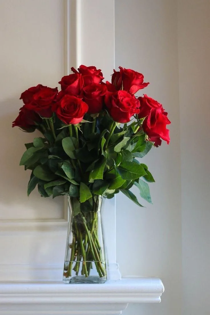 Rose rouge 50 cm, par Art Végétal, fleuriste à Corbas