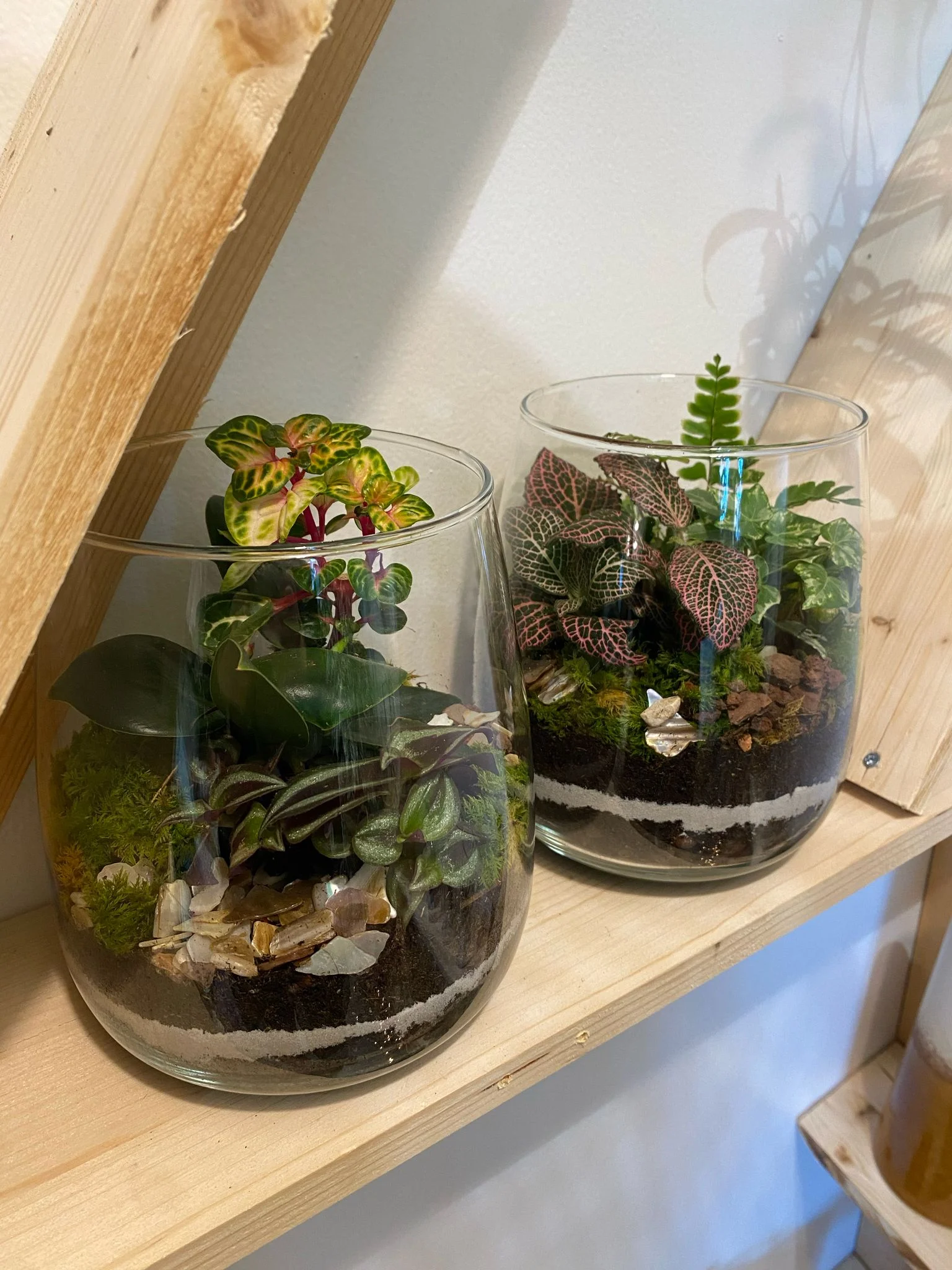 Terrarium, par Gaïa, fleuriste à Ondres