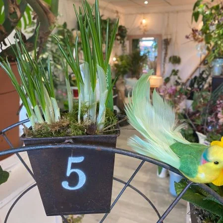 Décoration plantes fleuries de jardin, par Gaïa, fleuriste à Ondres