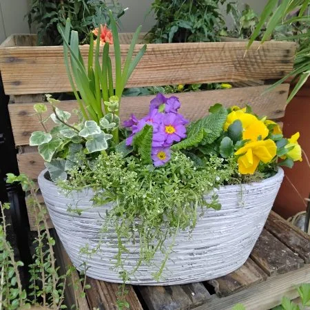 Composition plantes, par Green Lab, fleuriste à Aix-en-Provence