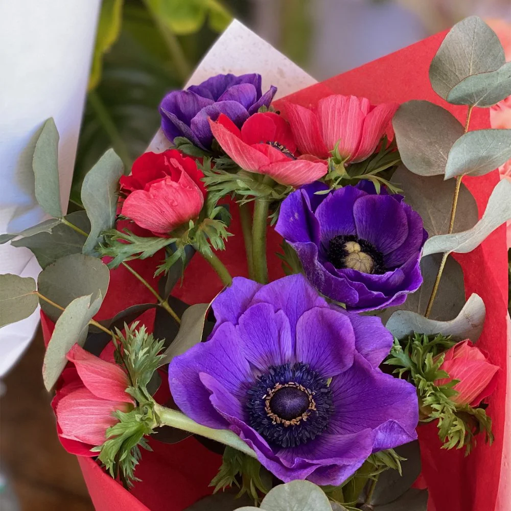 Bouquet d'Anémones, par Les Jolies Fleurs, fleuriste à La Rochelle