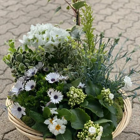 Coupe de plante, par Les Jolies Fleurs, fleuriste à La Rochelle