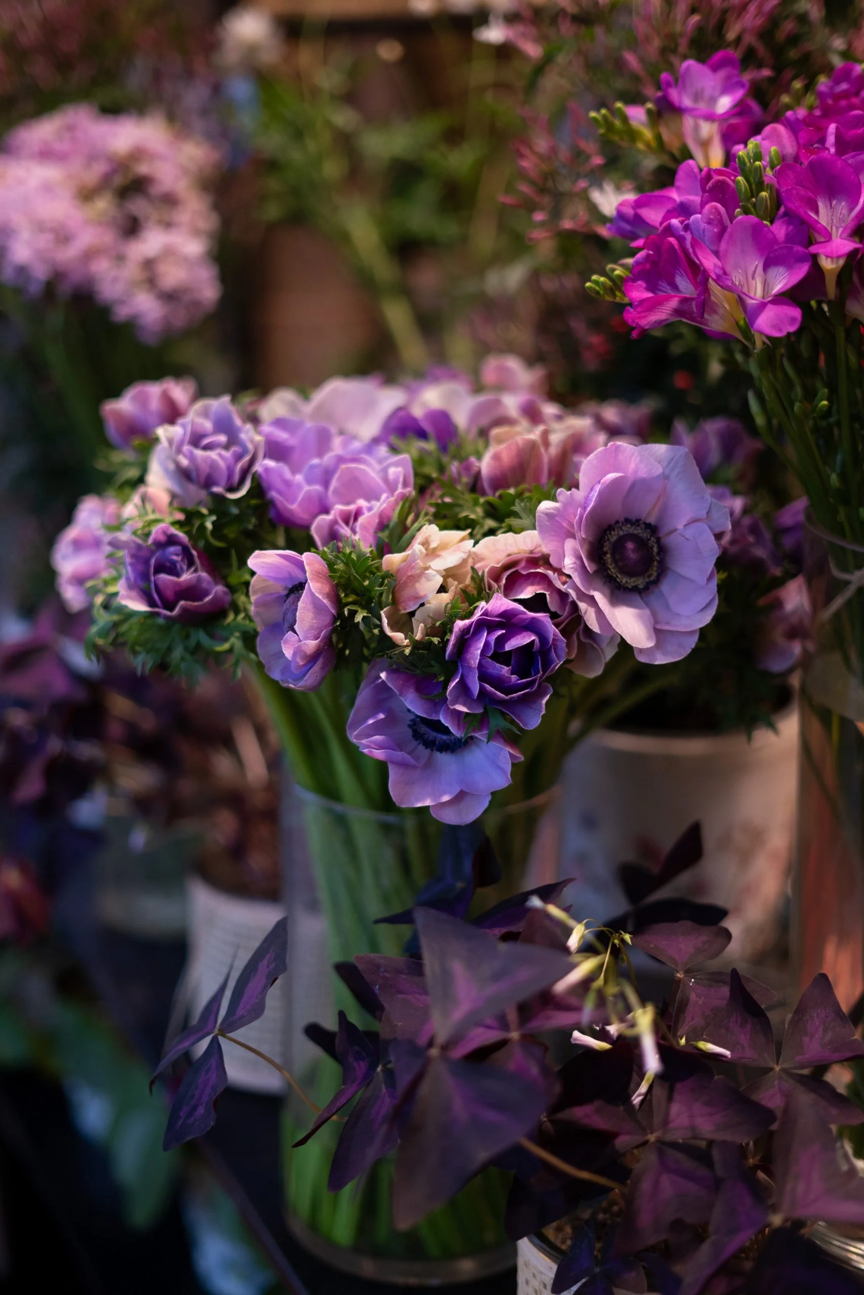 Livraison de fleurs Saint-Cloud et proximité, par Iris et Capucine, artisan fleuriste