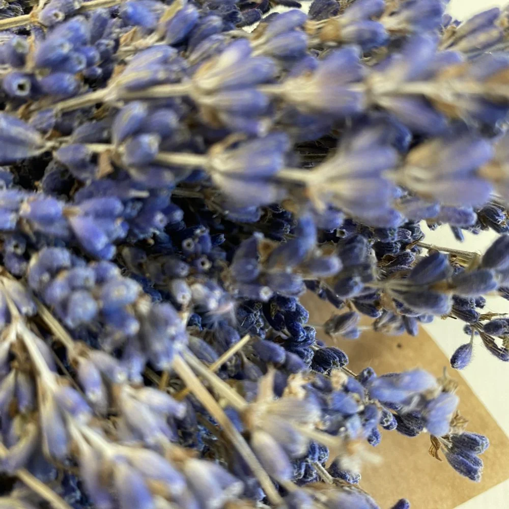 Bouquet de lavande, par Côté Fleuri, fleuriste à Pau