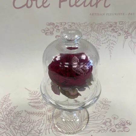 Cloche de rose éternelle, par Côté Fleuri, fleuriste à Pau