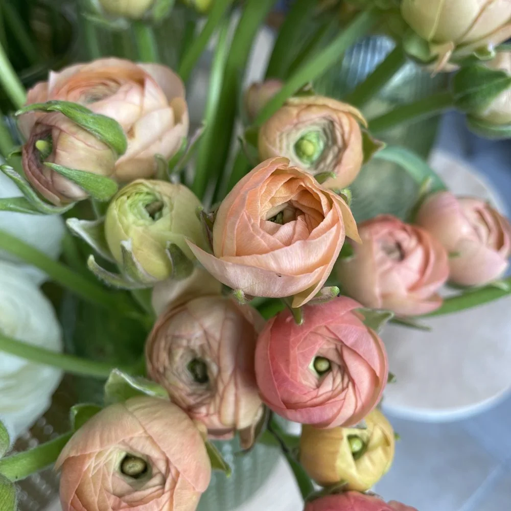 Bouquet de Renoncules, par Ostara, fleuriste à Grenoble