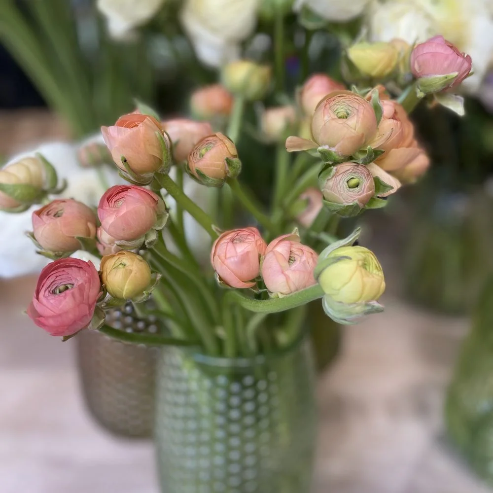 Bouquet de Renoncules, par Ostara, fleuriste à Grenoble