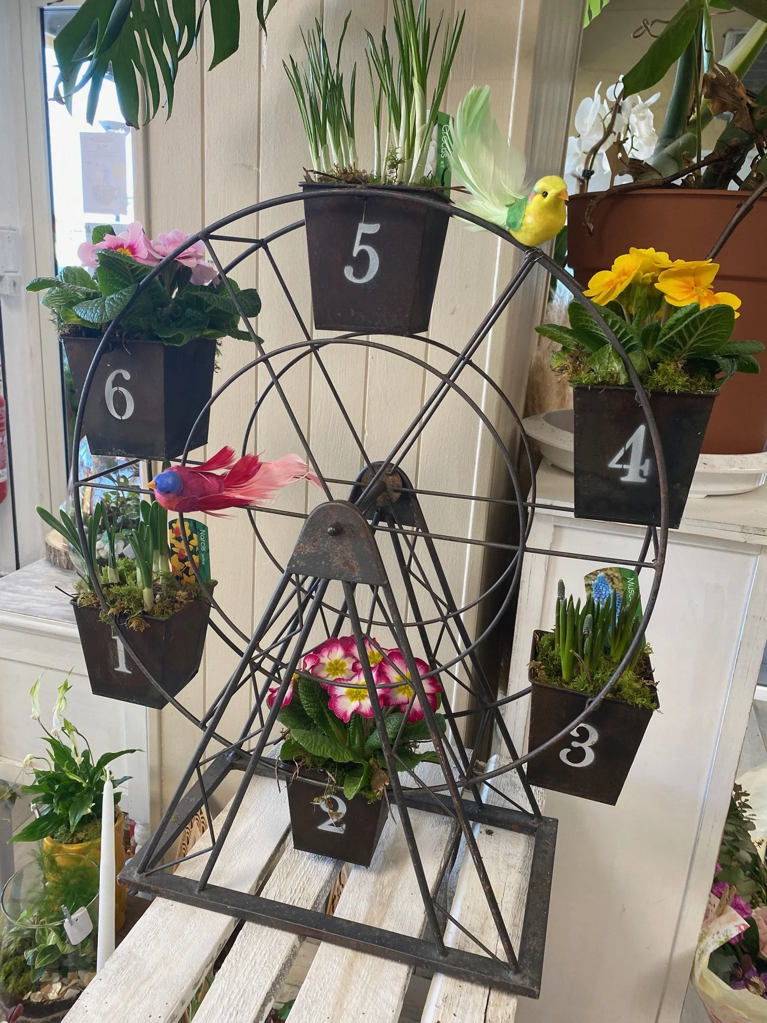 Décoration plantes fleuries de jardin, par Gaïa, fleuriste à Ondres