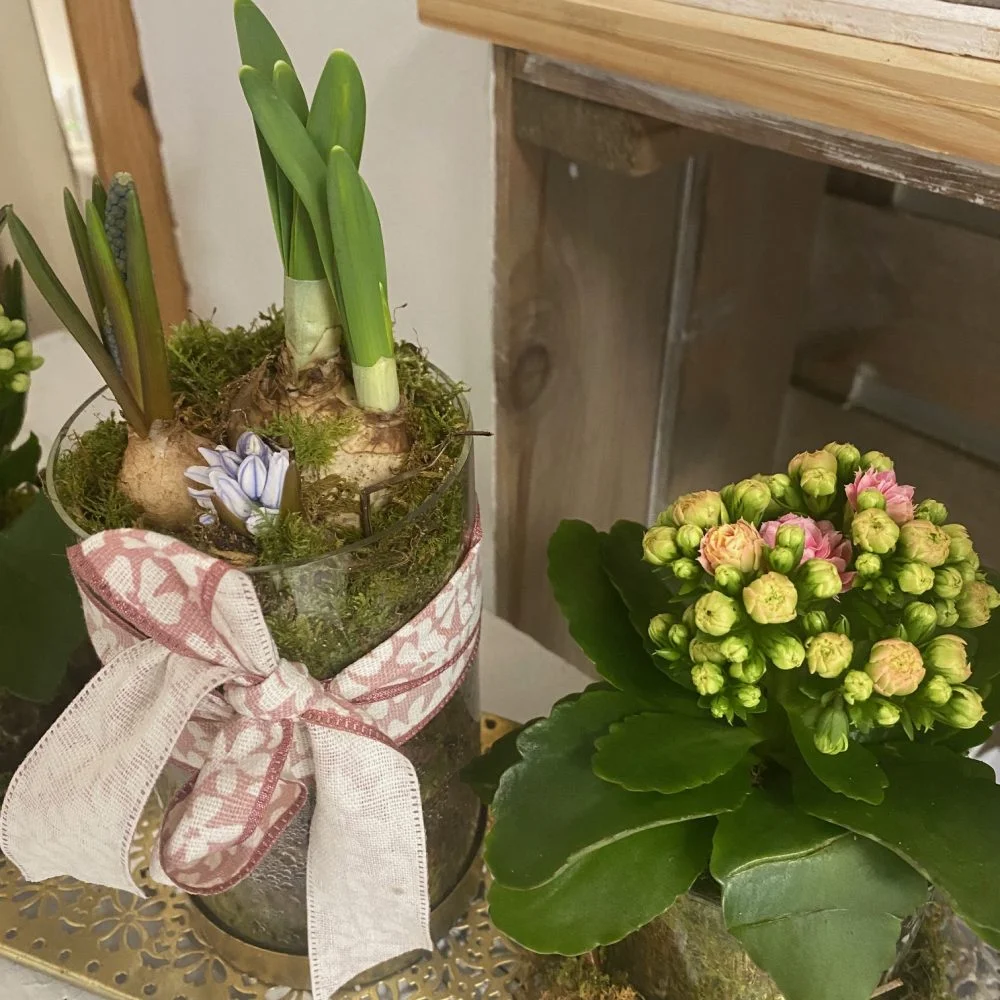 Décoration plantes fleuries de jardin, par Gaïa, fleuriste à Ondres