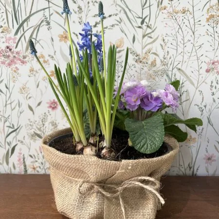 Coupe de plantes, par Ostara, fleuriste à Grenoble