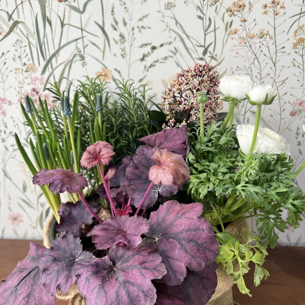 Coupe de plantes, par Ostara, fleuriste à Grenoble
