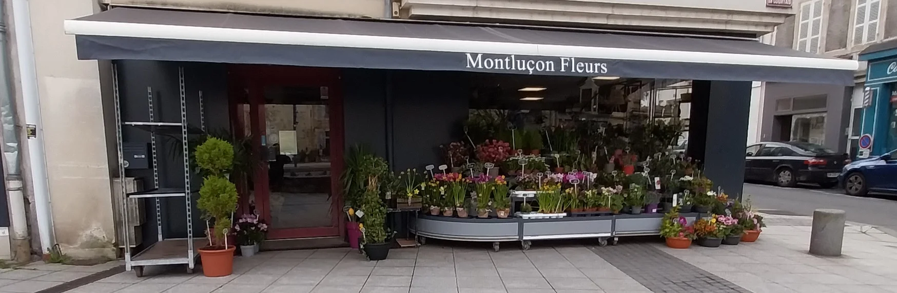 Livraison de fleurs Montluçon et proximité, par Montluçon Fleurs, artisan fleuriste