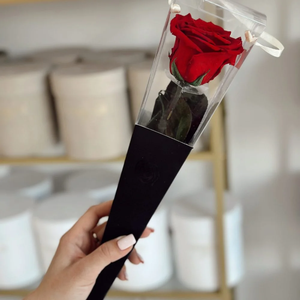 Roses éternelle, par Trésors Fleuris, fleuriste à Belfort