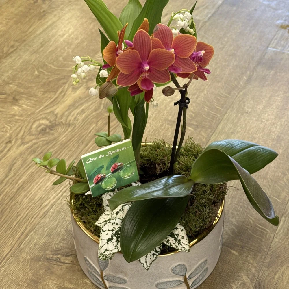 Composition de plantes avec muguet, par Langage Des Fleurs, fleuriste à Bastia