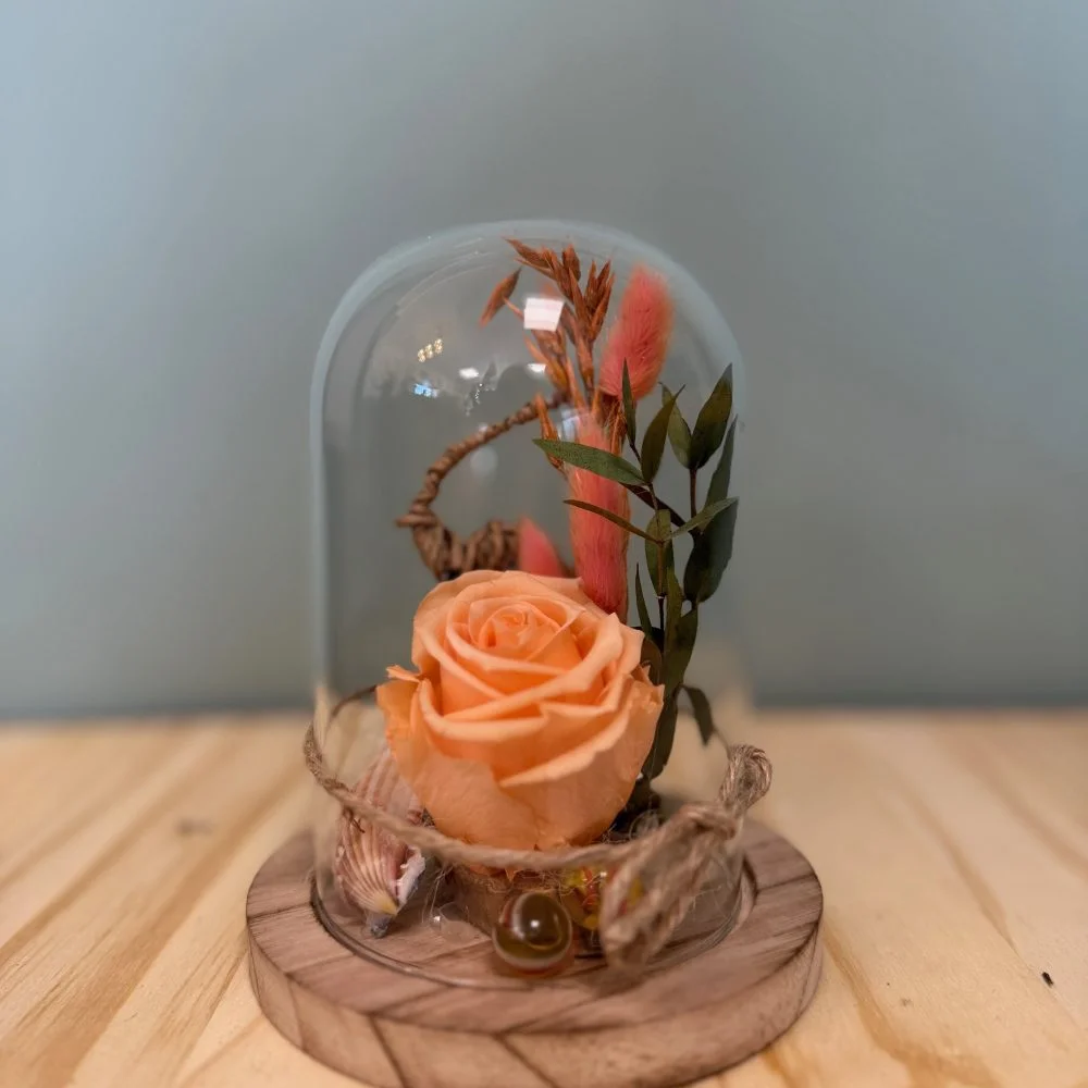 Cloche avec rose éternelle, par Atypique Végétal, fleuriste à Saint-Pardoux-du-Breuil