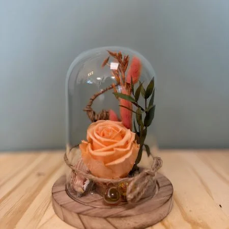 Cloche avec rose éternelle, par Atypique Végétal, fleuriste à Saint-Pardoux-du-Breuil