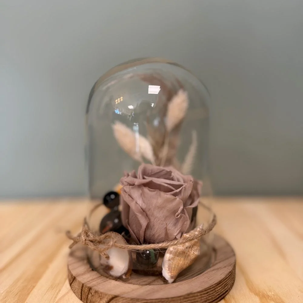 Cloche avec rose éternelle, par Atypique Végétal, fleuriste à Saint-Pardoux-du-Breuil