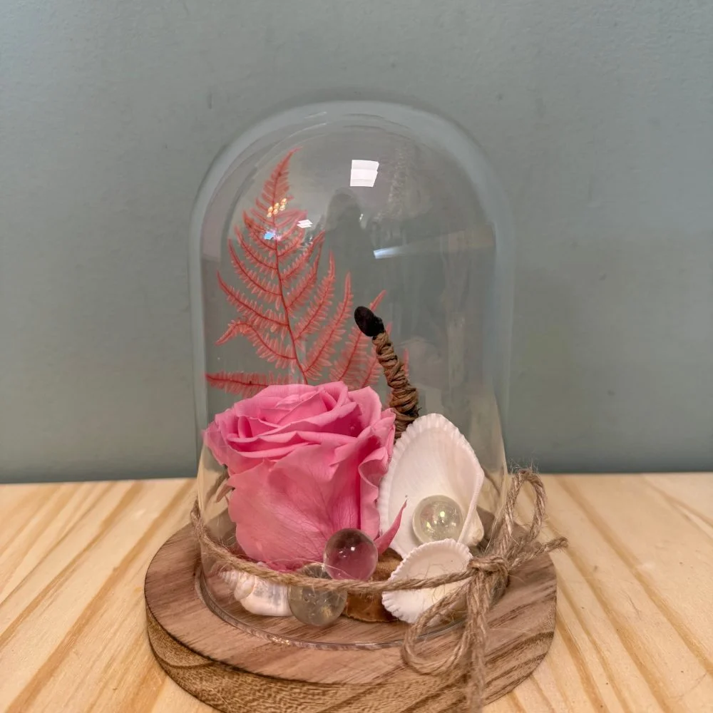 Cloche avec rose éternelle, par Atypique Végétal, fleuriste à Saint-Pardoux-du-Breuil