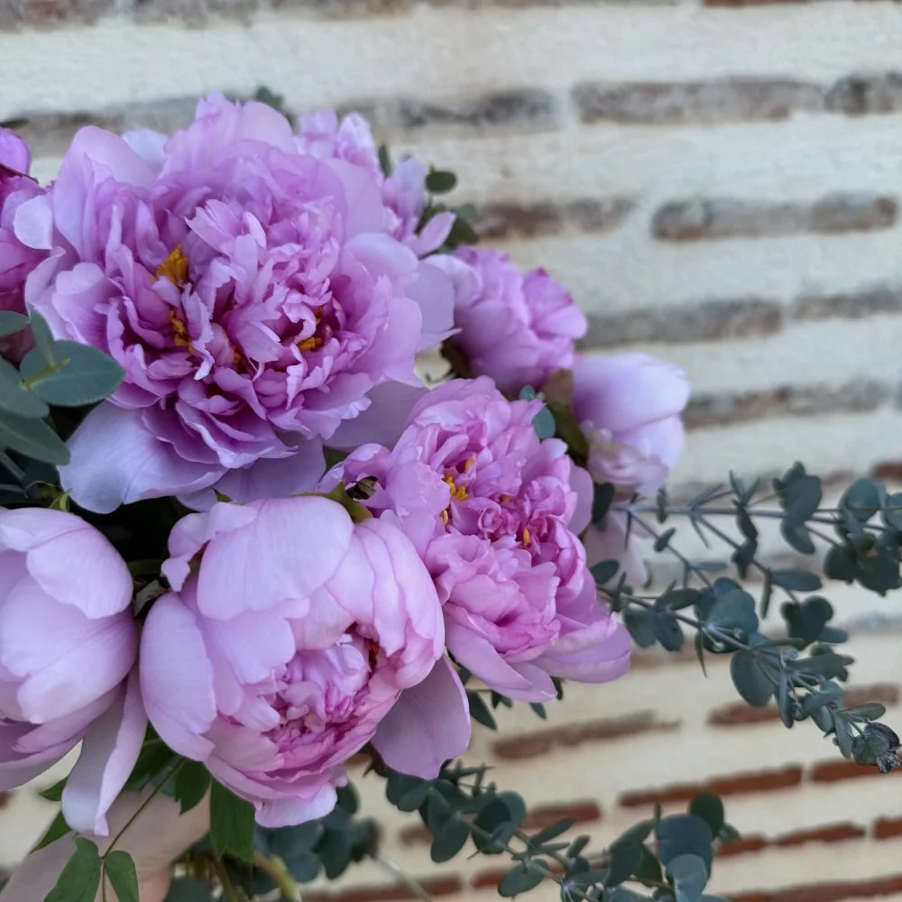 Bouquet de Pivoines, par Atypique Végétal, fleuriste à Saint-Pardoux-du-Breuil