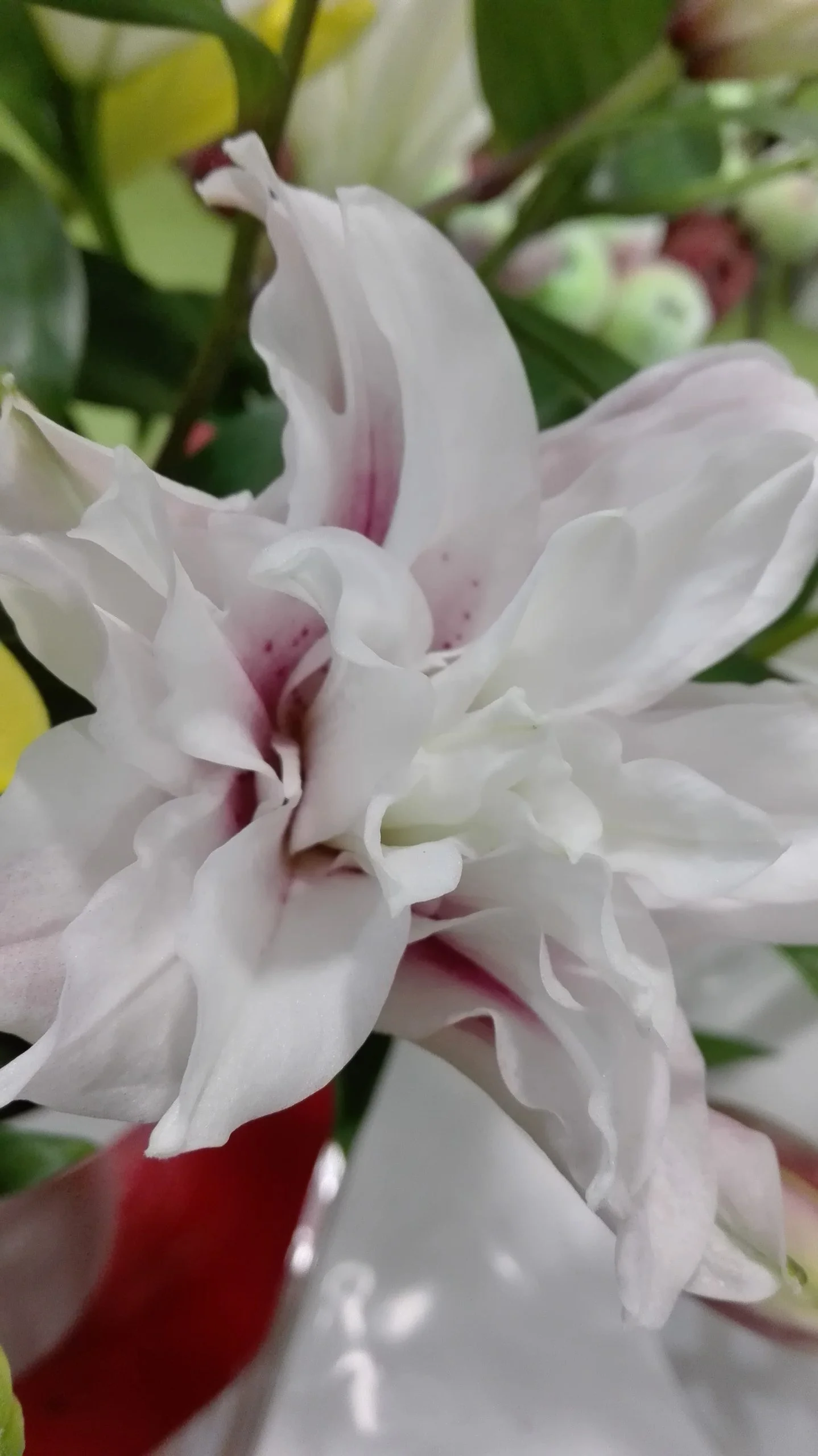 Livraison de fleurs Carmaux et proximité, par Julie Fleurs, artisan fleuriste