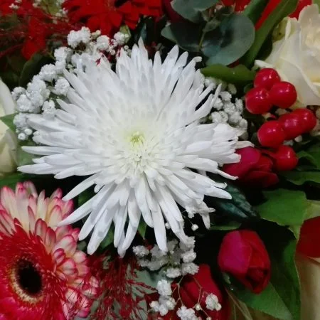 Passion, par Julie Fleurs, fleuriste à Carmaux