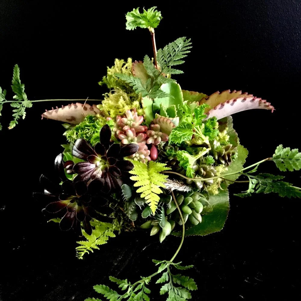 Bouquet succulentes, par Basille Fleurs, fleuriste à Sotteville-lès-Rouen