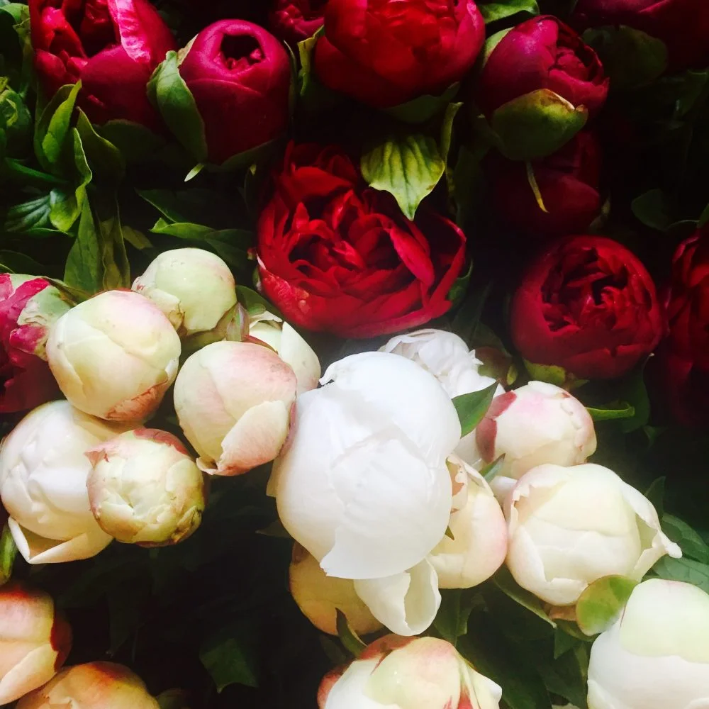 Bouquet de Pivoines, par Basille Fleurs, fleuriste à Sotteville-lès-Rouen