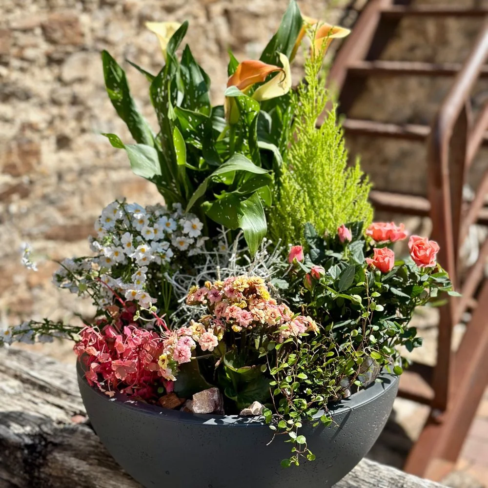 Le Jardin de Plantes, par Maxime B, fleuriste à Bouguenais