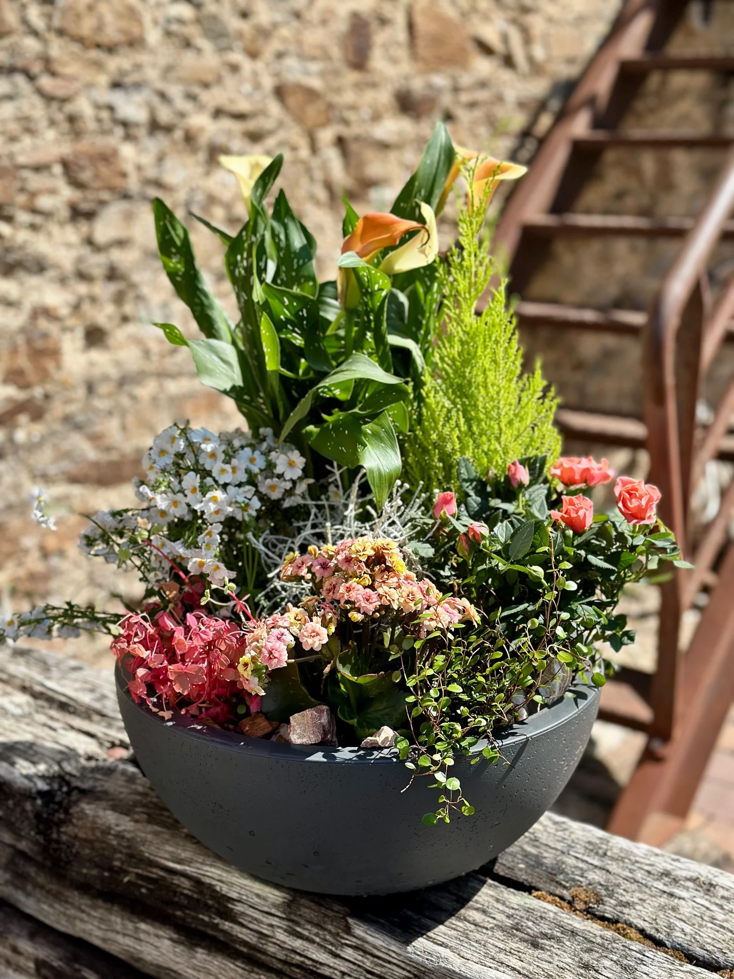 Le Jardin de Plantes, par Maxime B, fleuriste à Bouguenais