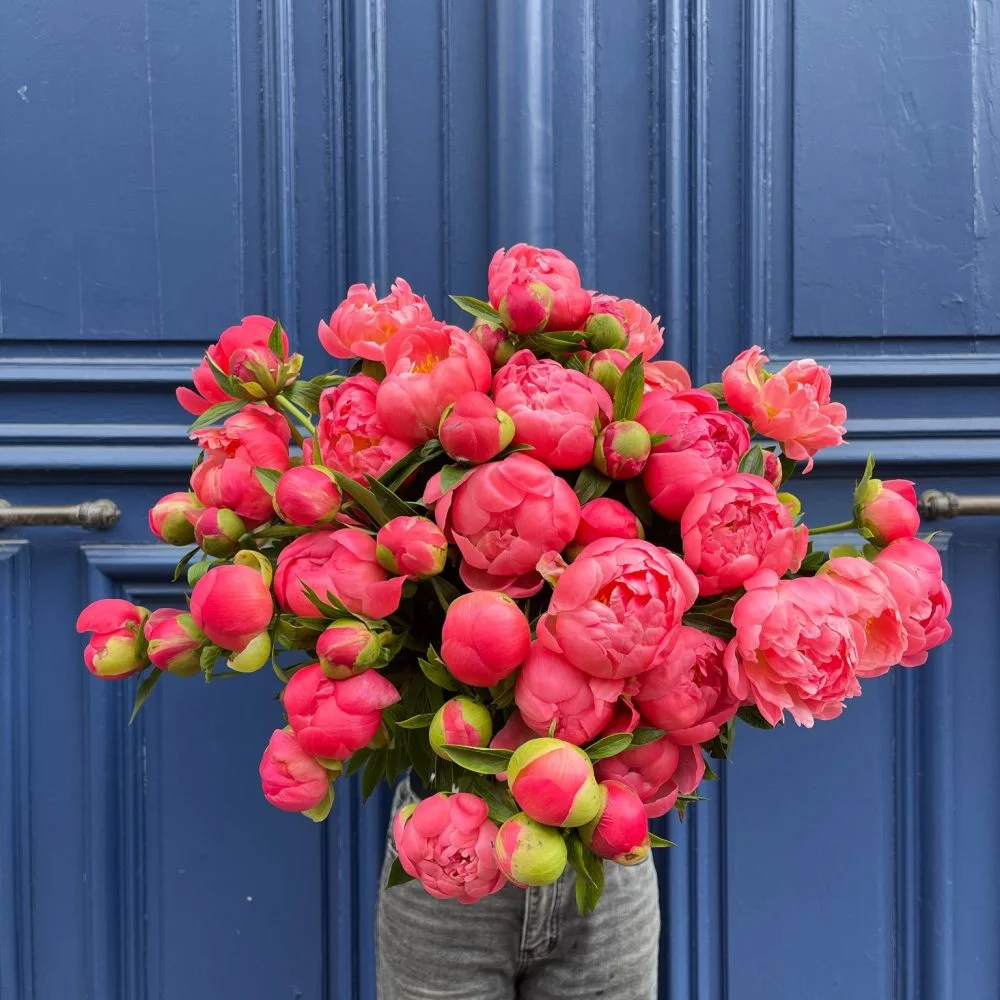 Bouquet de Pivoines, par Atelier Armelle Alleton, fleuriste à Le Mans