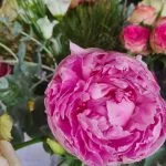 Bouquet de Pivoines, par Epoustoufleurs, fleuriste à Saint Paul