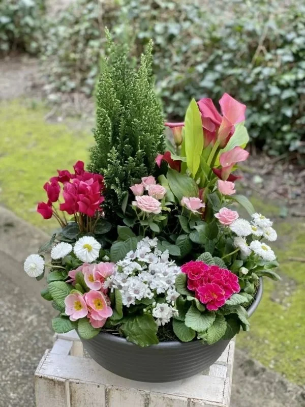 Coupe de plante, par MK Fleurs, fleuriste à Lyon