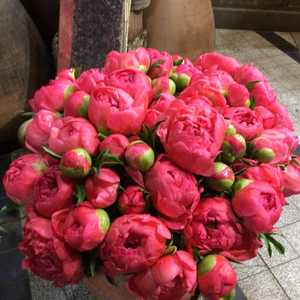 Pivoine corail, par Maison Stéphane Bellot, fleuriste à Paris