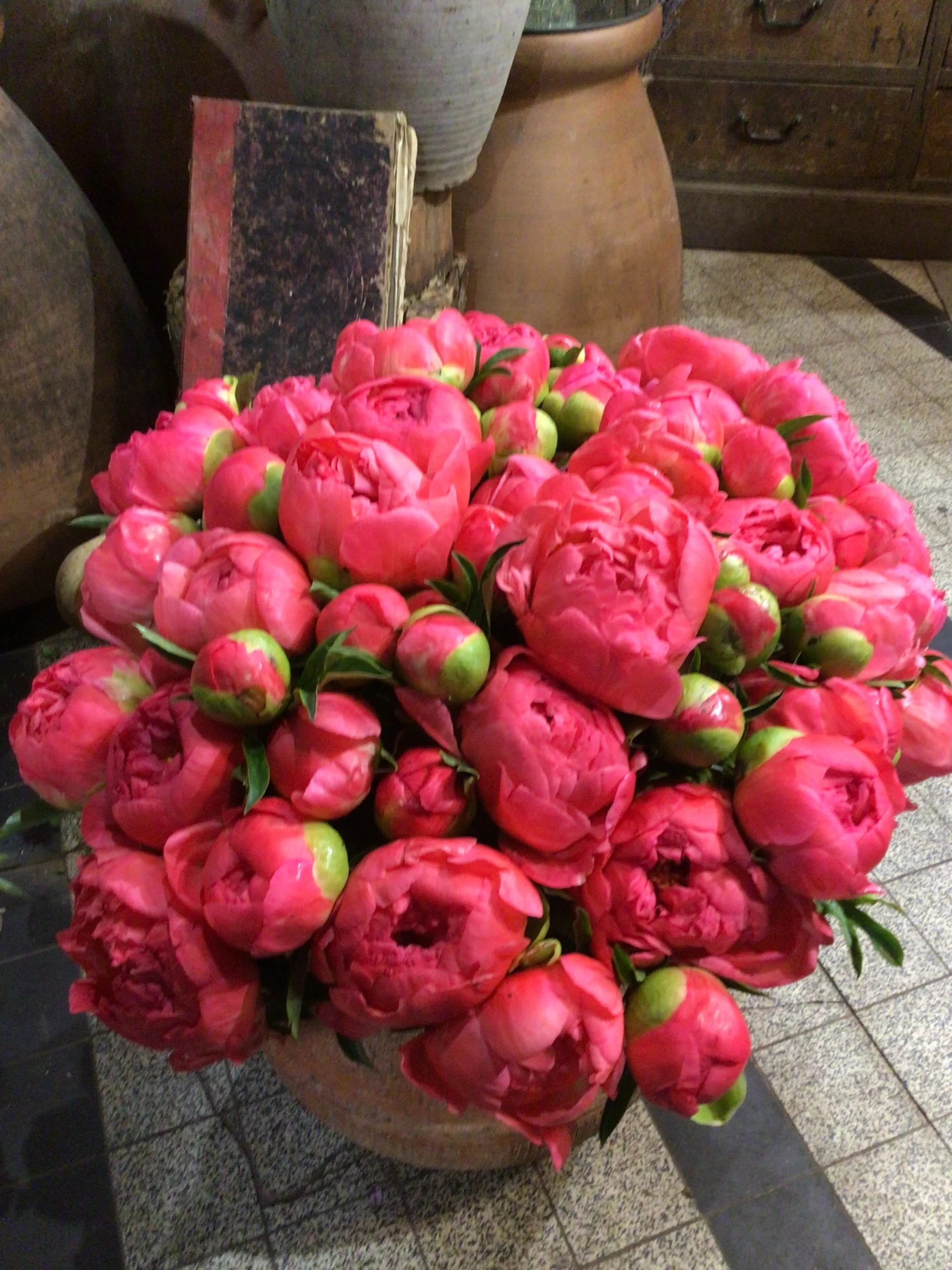 Pivoine corail, par Maison Stéphane Bellot, fleuriste à Paris