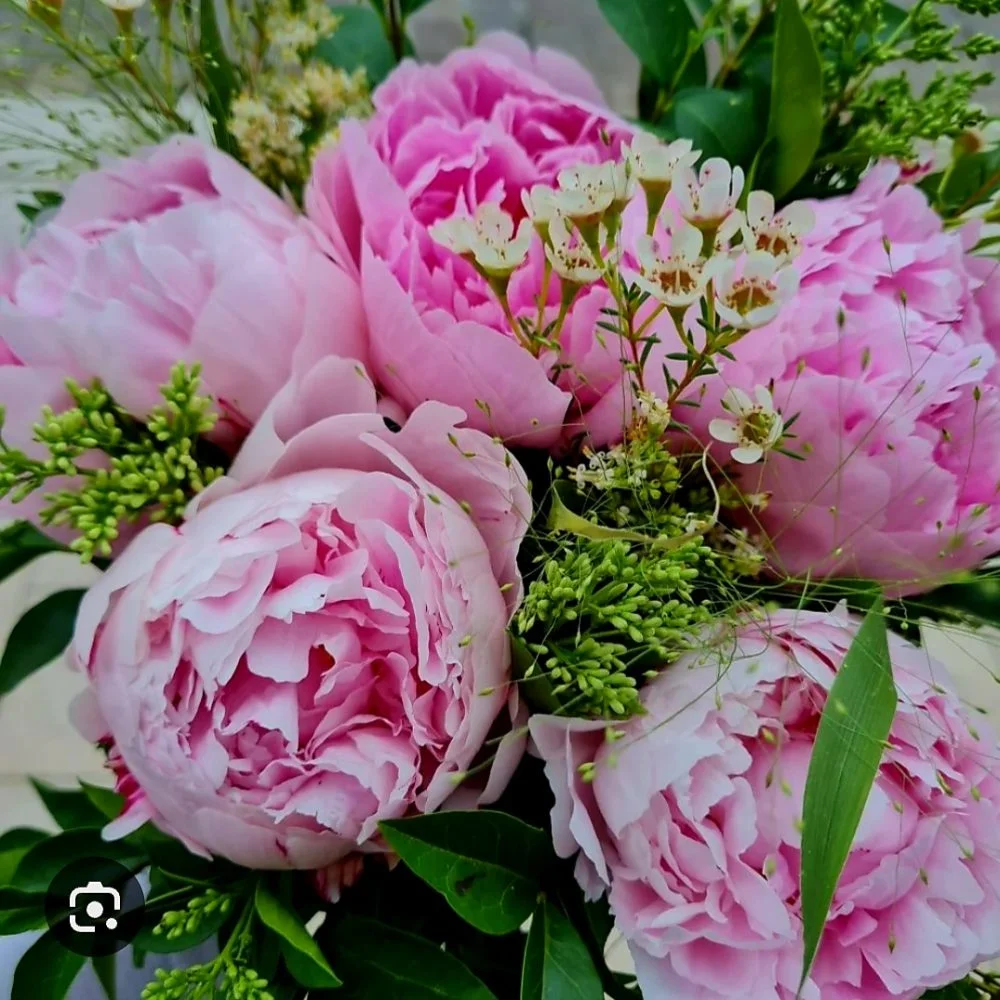 bouquet de pivoines, par Julie Fleurs, fleuriste à Carmaux