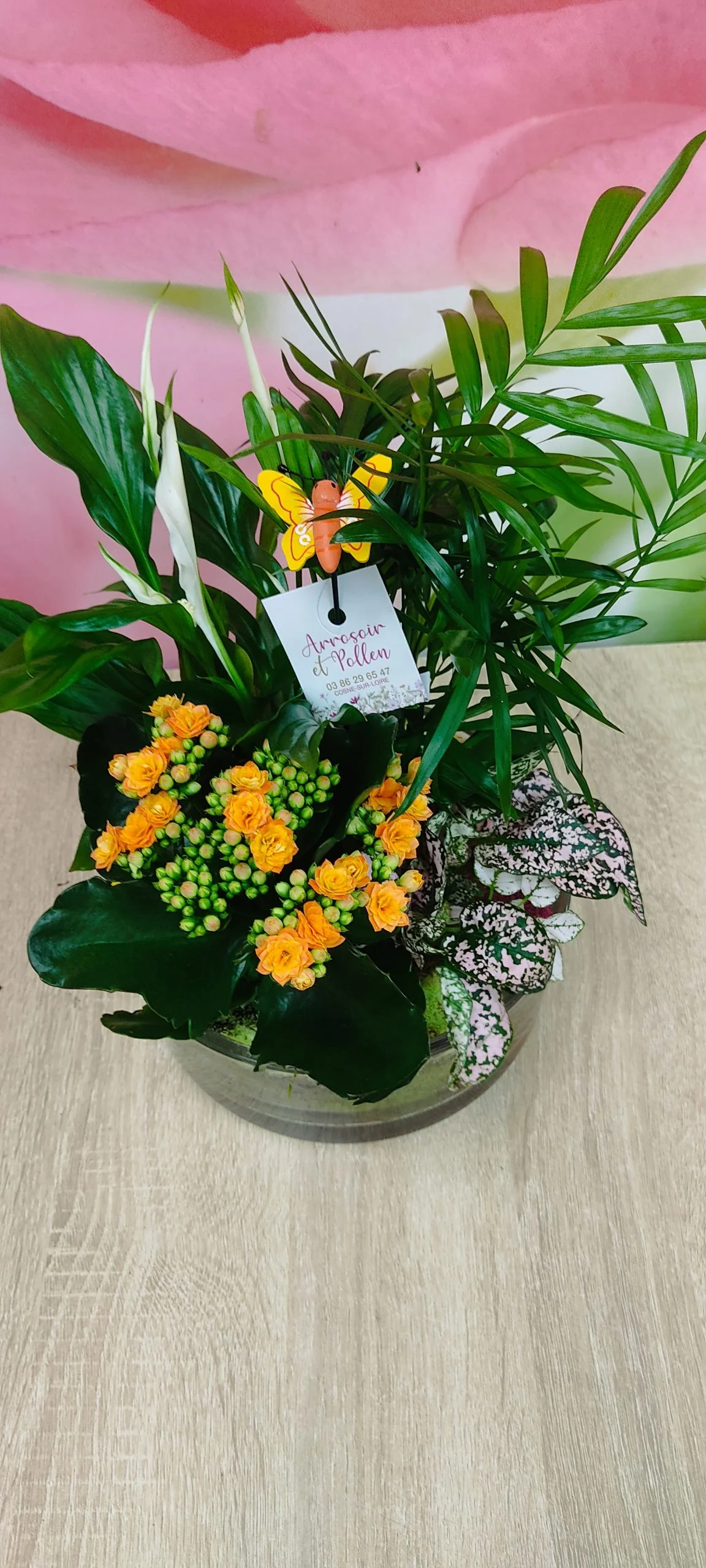 Jardin de plantes intérieures, par Arrosoir Et Pollen, fleuriste à Cosne-Cours-sur-Loire